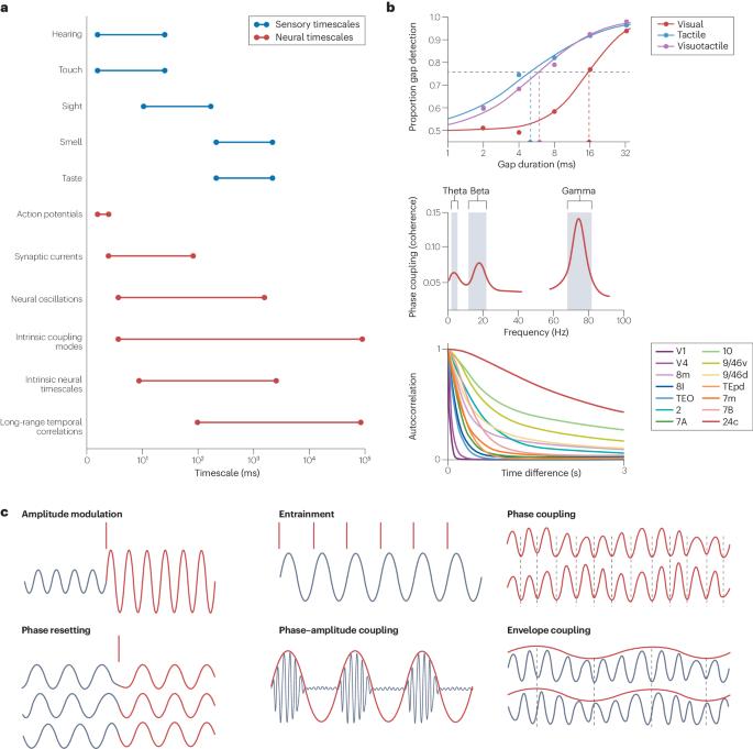 Multi-timescale neural dynamics for multisensory integration