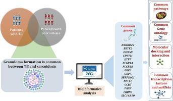 Identification of overlapping molecular mechanisms in tuberculosis and sarcoidosis: A bioinformatics approach