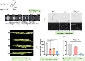 Metconazole inhibits fungal growth and toxin production in major Fusarium species that cause rice panicle blight