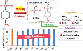 Transformation of p-arsanilic acid by dissolved Mn(III) and enhanced arsenic removal: Mechanism, toxicity and performance in complicated water matrices