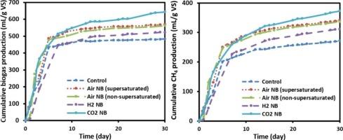 Exploring nanobubble technology for enhanced anaerobic digestion of thermal-hydrolysis pre-treated sewage sludge