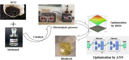 Electrolytic biodiesel production from spent coffee grounds: Optimization through response surface methodology and artificial neural network