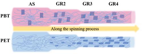 The feasibility and rationale for utilizing high molecular weight PBT in the preparation of high-strength fiber