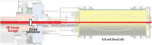 A trapped ion mobility enabled Fourier transform ion cyclotron resonance mass spectrometer for infrared ion spectroscopy at FELIX