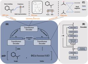 Boosting the performance of molecular property prediction via graph–text alignment and multi-granularity representation enhancement