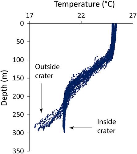 Ongoing Activity at Hunga Submarine Volcano, Tonga: The Case for Better Monitoring of Submarine Volcanoes Worldwide