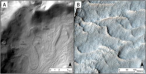 Large Glacier-Like Forms on Mars: Insights From Crater Morphologies and Crater Retention Ages