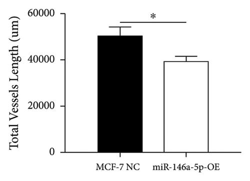 Inhibition of Lymphangiogenesis: A Protective Role of microRNA 146a-5p in Breast Cancer