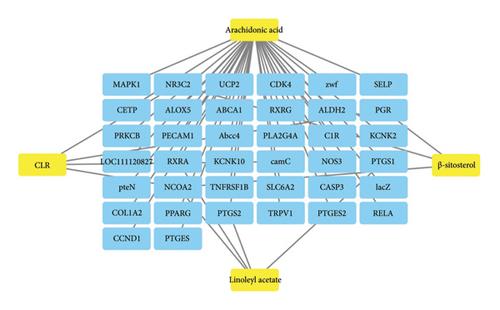 A Review of the Mechanism of Bailing for Diabetic Nephropathy Based on ChatGPT and Network Pharmacology