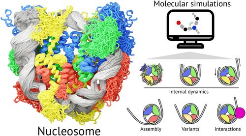 Molecular dynamics simulations of nucleosomes are coming of age