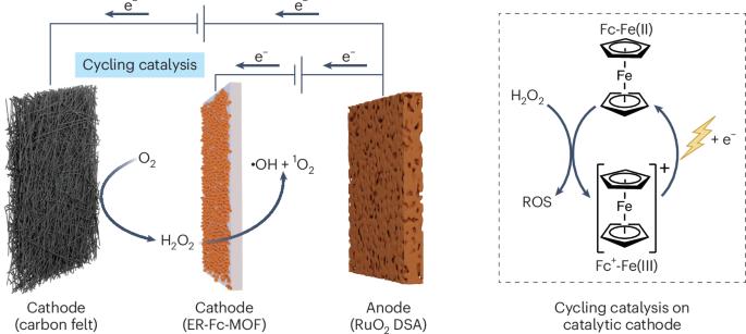 Achieving cycling catalysis of electro-Fenton treatment