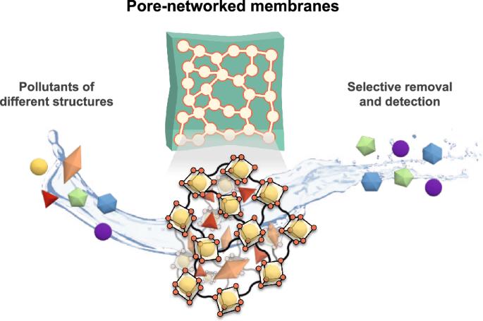 Pore-networked membrane using linked metal-organic polyhedra for trace-level pollutant removal and detection in environmental water