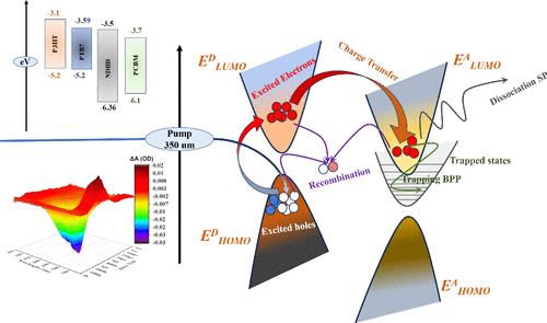 Unraveling the Optoelectronic Exciton Dynamics of NDI (Naphthalene Diimide)-Based Nonfullerene Acceptor with Improved Band Alignment