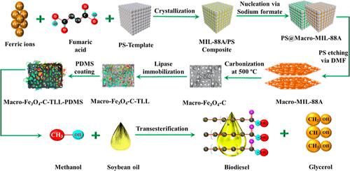 Lipase Immobilization over Hierarchically Carbonized Macro-MIL-88A for Biodiesel Production