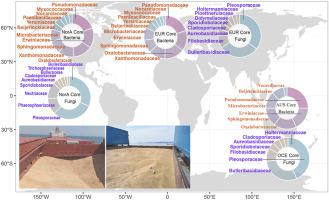 Characterization of core microbiota of barley seeds from different continents for origin tracing and quarantine pathogen assessment