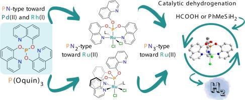 Ruthenium(II) complexes of a tripodal phosphite ligand: Synthesis, characterization, and applications in catalytic dehydrogenation