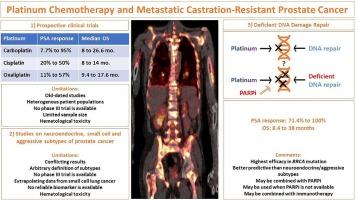 Advancements in platinum chemotherapy for metastatic castration-resistant prostate cancer: Insights and perspectives