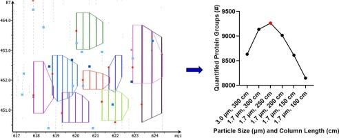 Using long columns to quantify over 9200 unique protein groups from brain tissue in a single injection on an Orbitrap Exploris 480 mass spectrometer