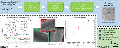 Influence of swelling on the efficiency of TEMPO reaction, nanofibril production and characterization