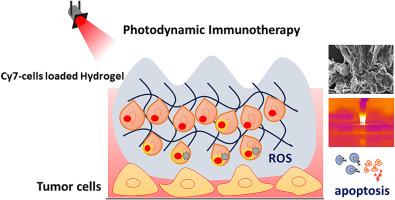 Tumor cell loaded thermosensitive hydrogel for photodynamic therapy associated tumor antigens release