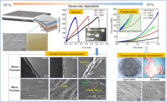 On the strain rate-dependent mechanical behavior of PE separator for lithium-ion batteries