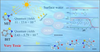 Insight into the photodegradation of methylisothiazolinone and benzoisothiazolinone in aquatic environments