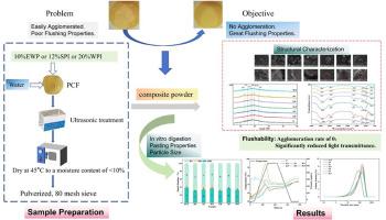 Effect of ultrasound combined with exogenous protein treatment on the flushing characteristics of puffed corn flour