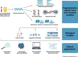 Cell-free nucleic acid fragmentomics: A non-invasive window into cellular epigenomes