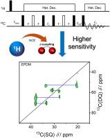 Transient NOE driven signal enhancement of INADEQUATE solid-state NMR spectroscopy for the structural analysis of rubbers