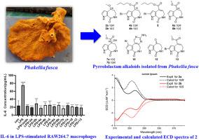 Pyrrololactam alkaloids with IL-6 inhibitory activities from the sponge Phakellia fusca collected in the South China Sea