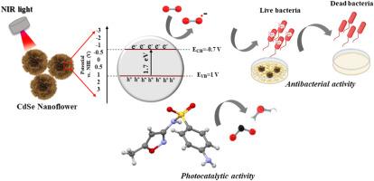 CdSe nanoflower as a new near infrared-activated photocatalyst for remediation of pharmaceutical wastewaters