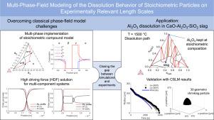 Multi-phase-field modeling of the dissolution behavior of stoichiometric particles on experimentally relevant length scales