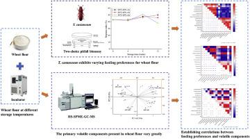 The feeding preference of red flour beetle Tribolium castaneum Herbst (Coleoptera: Tenebrionidae) on wheat flour stored at varied temperatures: The perspective of volatile components