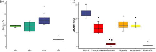 Growth phase matters: Boosting immunity via Lacticasebacillus-derived membrane vesicles and their interactions with TLR2 pathways