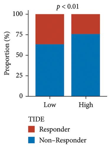 A Comprehensive Analysis of Exosome-Related Long Noncoding RNAs as Prognostic Biomarkers and Therapeutic Targets in Head and Neck Squamous Cell Carcinoma