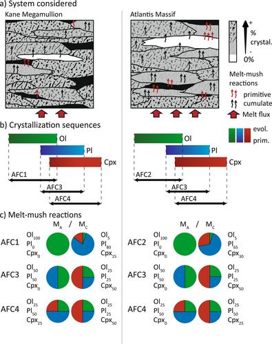 Petrological Evidence for Prominent Melt-Mush Reactions During Slow-Spreading Oceanic Accretion