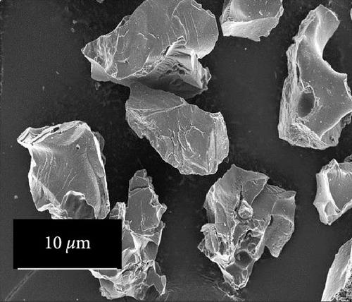 Engineered Biomass Waste-Derived Activated Biochar Catalyst for Biodiesel Production from Jatropha curcas Oil