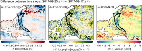 High-Resolution Variability of the Ocean Carbon Sink