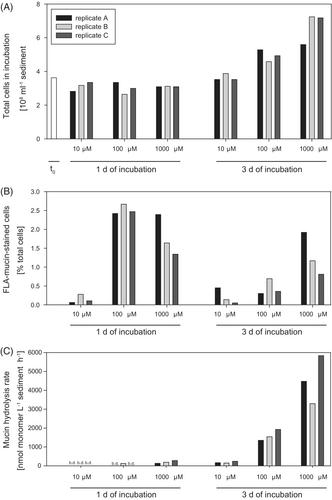 Distinct actors drive different mechanisms of biopolymer processing in polar marine coastal sediments