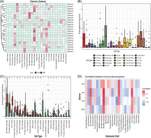 Identification and analysis of oxidative stress-related genes in hypoxic-ischemic brain damage using bioinformatics and experimental verification