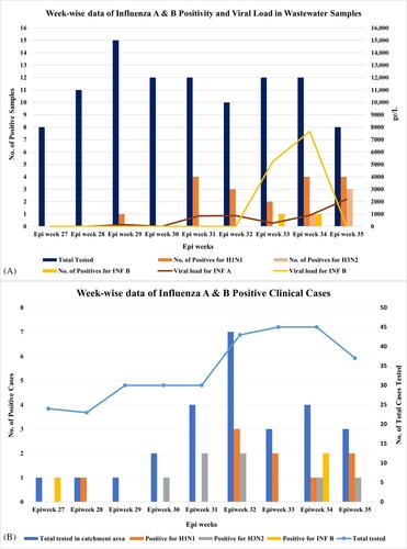 Surveillance of influenza A and B viruses from community and hospital wastewater treatment plants