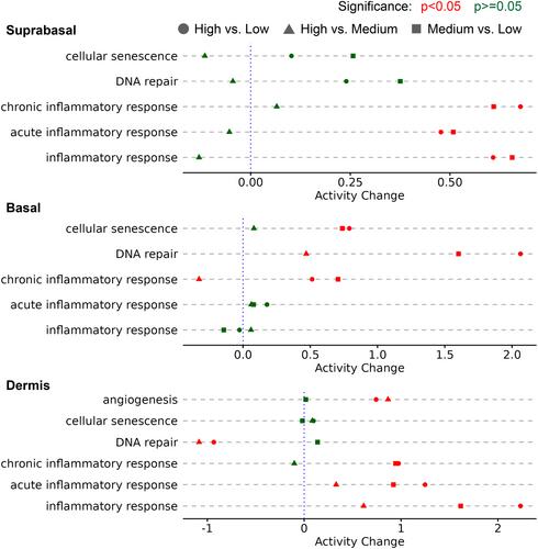 Skin inflammatory signatures, as measured by disordered spatial redness patterns, predict current and future skin ageing attributes