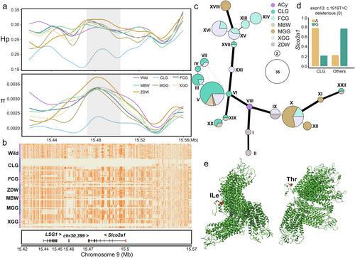 Deciphering the Genetic Landscape: Insights Into the Genomic Signatures of Changle Goose