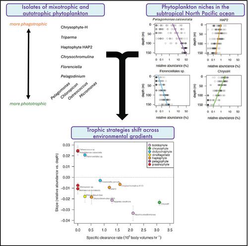 Trophic strategies of picoeukaryotic phytoplankton vary over time and with depth in the North Pacific Subtropical Gyre