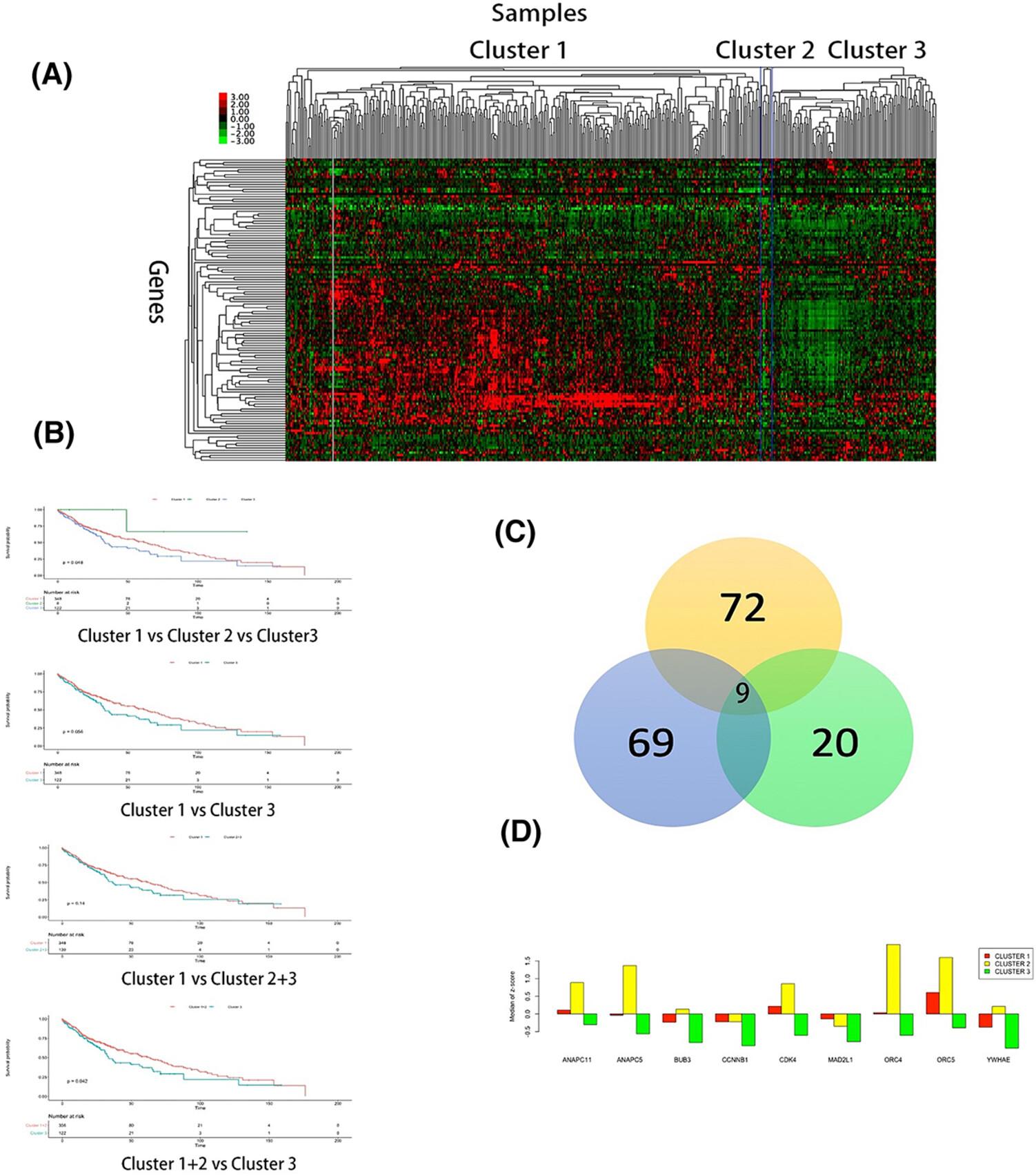 Expression and prognostic value of cell-cycle-associated genes in lung squamous cell carcinoma