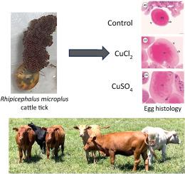 Histological changes of oocytes of the cattle tick Rhipicephalus microplus (Canestrini, 1888) treated with copper solutions