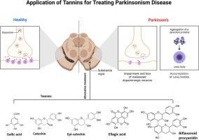 A comprehensive review and recent advancement in the application of tannins for treating Parkinson disease