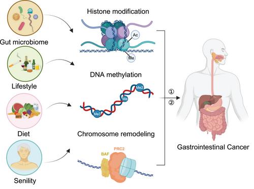 Epigenetic reprogramming in gastrointestinal cancer: biology and translational perspectives