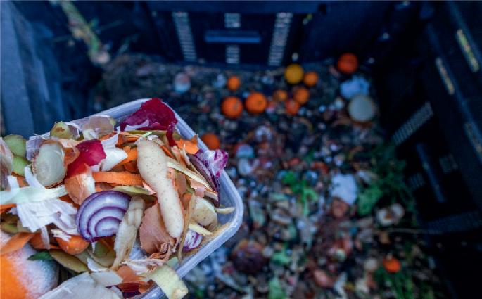 Food loss and waste