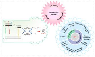 Photoimmunotherapy for cancer treatment based on organic small molecules: Recent strategies and future directions